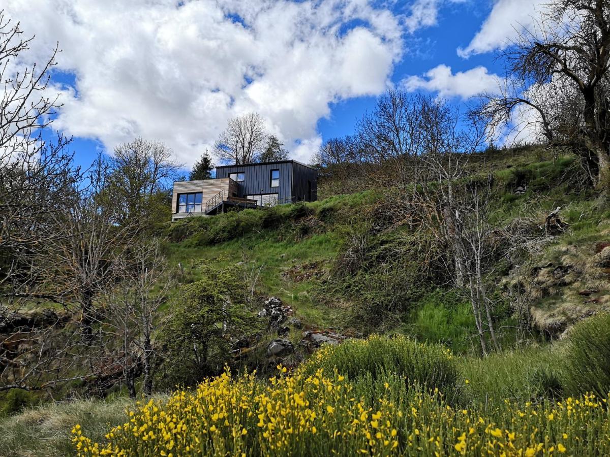 Maison D'Architecte En Pleine Nature Arlempdes المظهر الخارجي الصورة